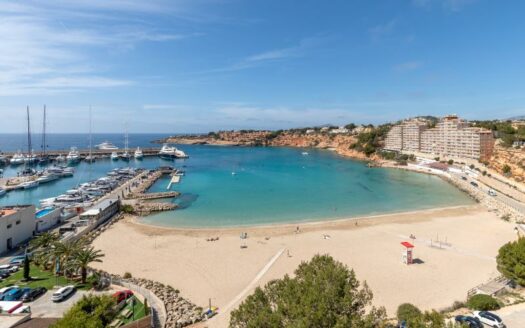 Moderne Neubau-Villa mit Pool in El Toro