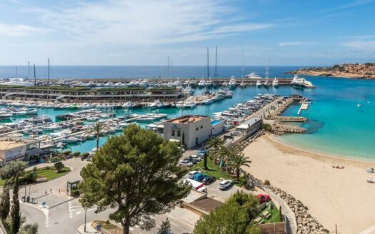 Moderne Neubau-Villa mit Pool in El Toro