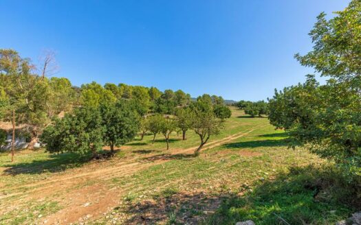 Exklusives Grundstück in Bunyola mit landwirtschaftlichen Möglichkeiten