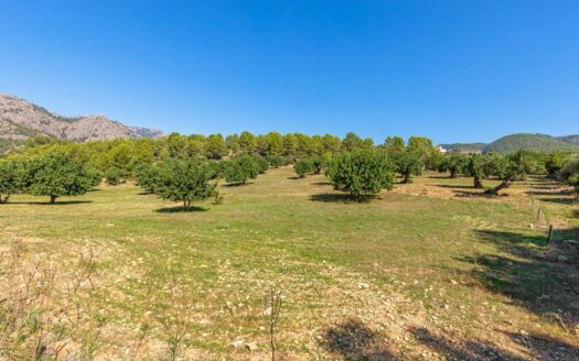 Exklusives Grundstück in Bunyola mit landwirtschaftlichen Möglichkeiten